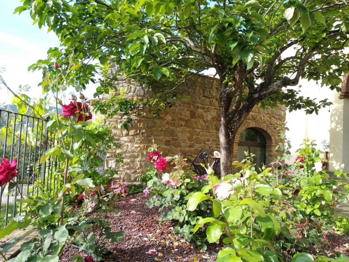 Da Vinci Sweet Home Castiglion Fibocchi Buitenkant foto